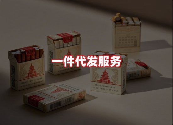 专业团队
